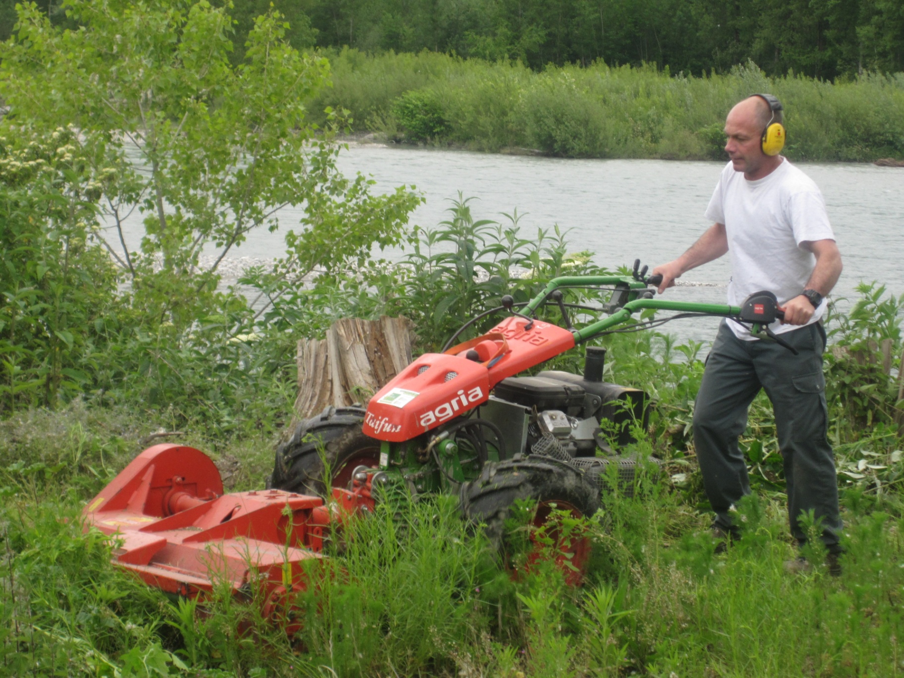 Débroussaillage motorisé en bord de rivière