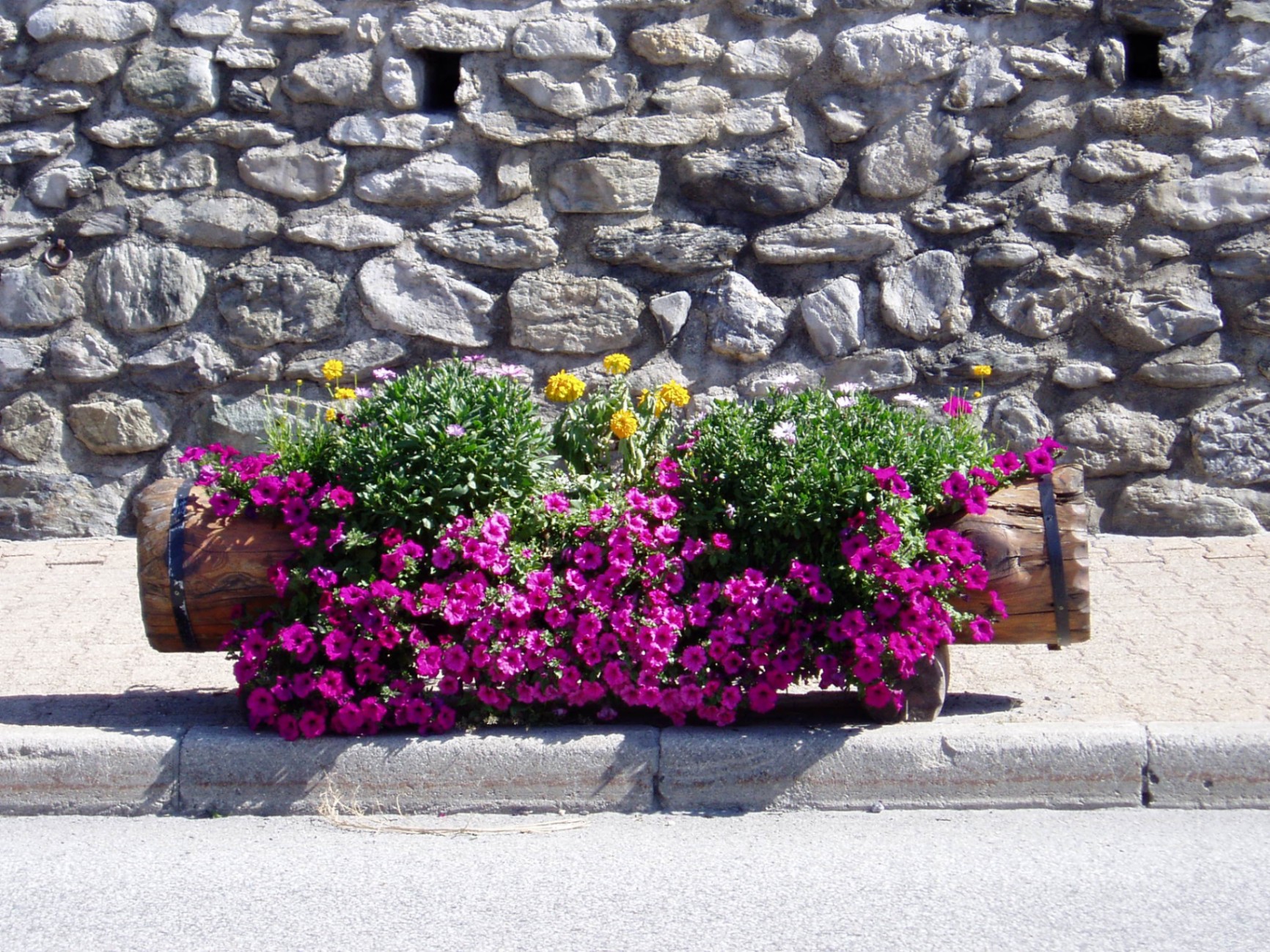 Jardinière fleurie devant un mur en pierre